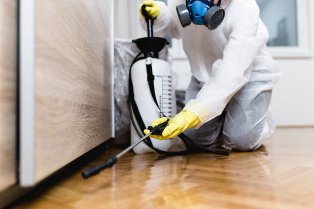 Best Commercial Pest Control Services  in Kingsland, GA