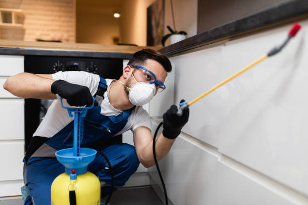 Best Pest Removal Services  in Kingsland, GA