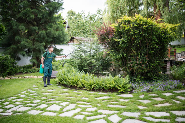 Best Local Pest Control Services  in Kingsland, GA