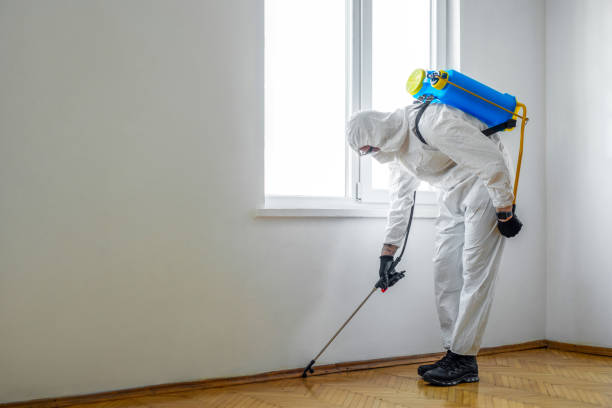Best Pest Control Treatment  in Kingsland, GA