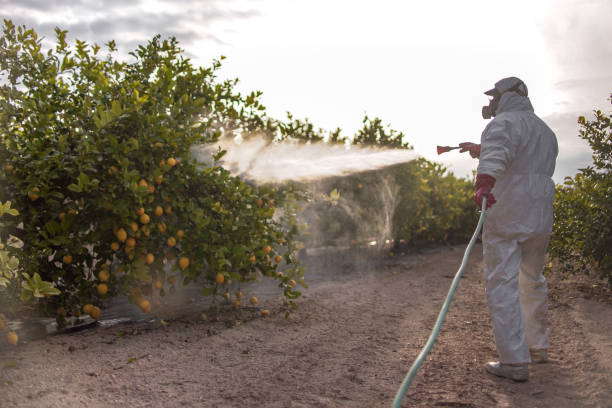 Best Pest Removal Services  in Kingsland, GA