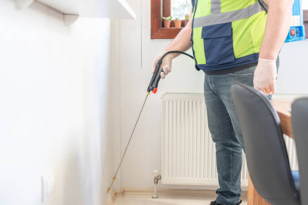 Best Residential Pest Control  in Kingsland, GA