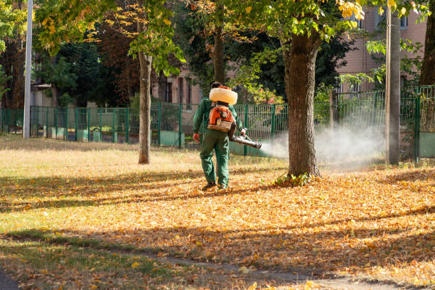 Best Wasp Removal Services  in Kingsland, GA