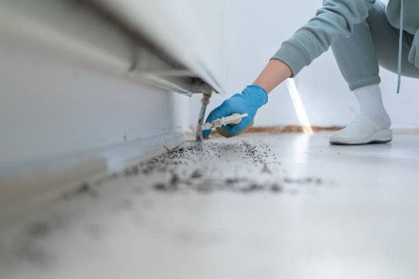Best Wildlife Control Services  in Kingsland, GA